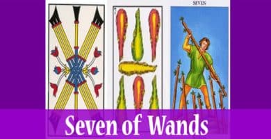 seven of wands