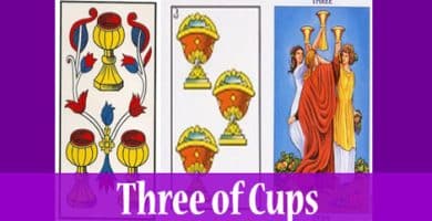 three of cups