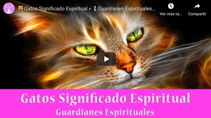 Gatos Significado Espiritual