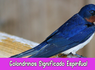 Golondrinas Significado Espiritual | Soñar con Golondrinas | Tótem Golondrina