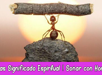 Hormigas Significado Espiritual | Soñar con Hormigas | Tótem Hormiga