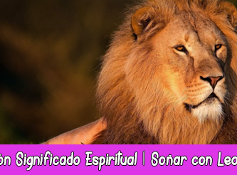 León Significado Espiritual | Soñar con Leones | Tótem León