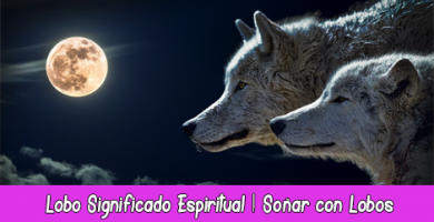 Lobo Significado Espiritual Soñar con Lobos