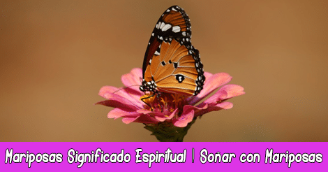 Mariposas Significado Espiritual y Esotérico | Soñar con Mariposas