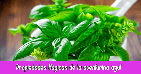 Propiedades Mágicas de la Albahaca