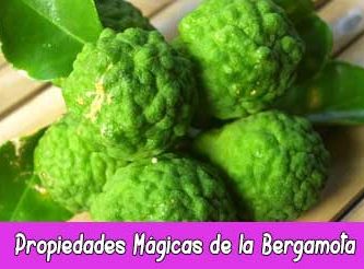 Propiedades Mágicas de la Bergamota