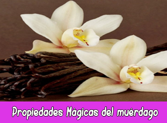 Propiedades Mágicas de la Vainilla