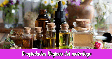 Propiedades Mágicas de los Aceites Esenciales