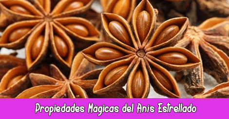 Propiedades Mágicas del Anís Estrellado