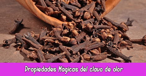 Propiedades Mágicas del clavo de olor
