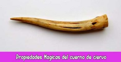 Propiedades Mágicas del cuerno de ciervo