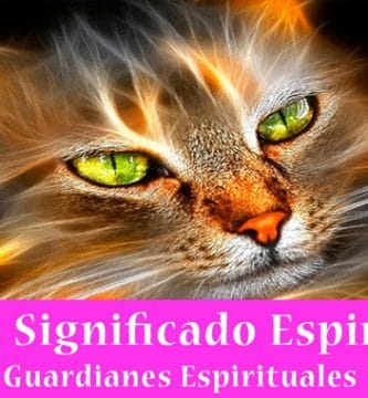 Gatos Significado Espiritual | Soñar con Gatos | Tótem Gato