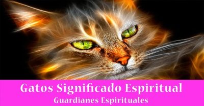 Gatos Significado Espiritual | Soñar con Gatos | Tótem Gato