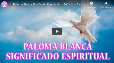 paloma blanca significado espiritual