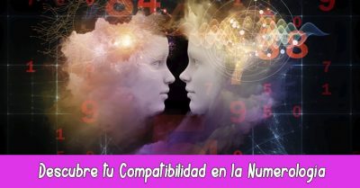 Descubre tu Compatibilidad en la Numerología