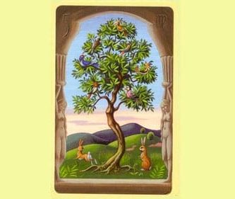 El Árbol | Tarot Lenormand Significado y Combinaciones