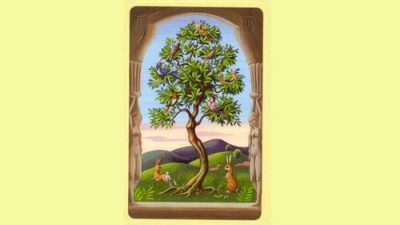 El Árbol | Tarot Lenormand Significado y Combinaciones