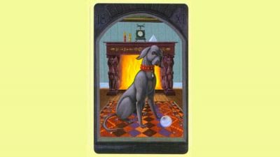 El Perro | Tarot Lenormand Significado y Combinaciones