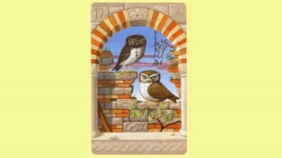 Las Lechuzas | Tarot Lenormand Significado y Combinaciones
