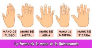 Significado forma de la mano quiromancia