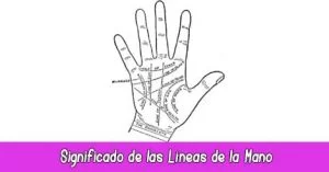 Significado lineas de la mano