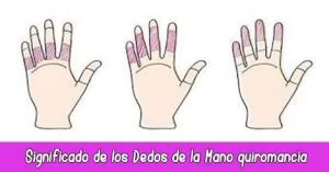 Significado de los Dedos de la Mano quiromancia