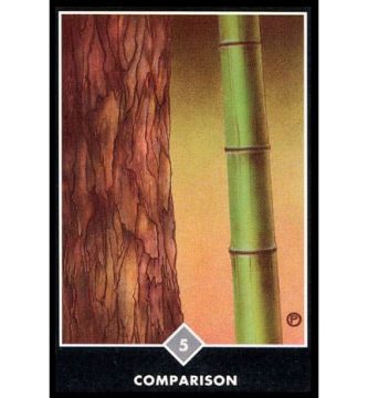 Tarot Osho Zen – 5 de Nubes : Comparación