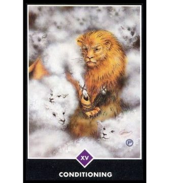 Tarot Osho Zen : Condicionamientos