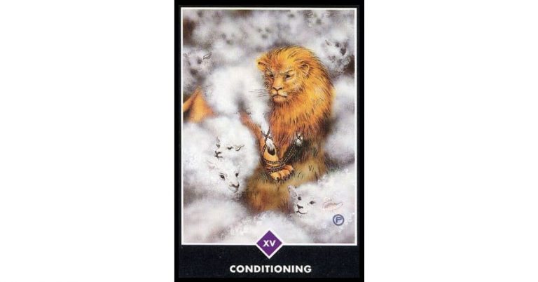Tarot Osho Zen : Condicionamientos