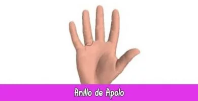Anillo de Apolo | Quiromancia: Lectura de Manos