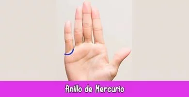 Anillo de Mercurio | Quiromancia: Lectura de Manos