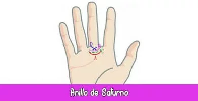 Anillo de Saturno | Quiromancia: Lectura de Manos