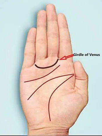 anillo de venus mano