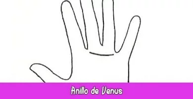 Cinturón o Anillo de Venus | Quiromancia: Lectura de Manos