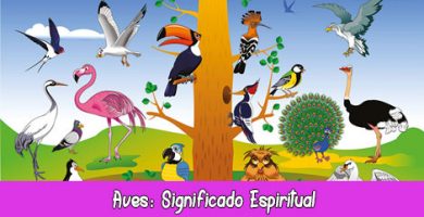 Aves Significado Espiritual, Esotérico y Simbólico
