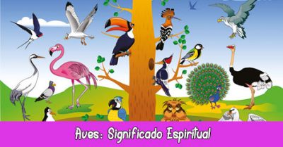Aves Significado Espiritual, Esotérico y Simbólico