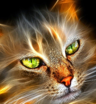 La función de los gatos como guardianes espirituales