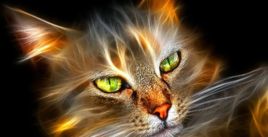 La función de los gatos como guardianes espirituales La función de los gatos como guardianes espirituales