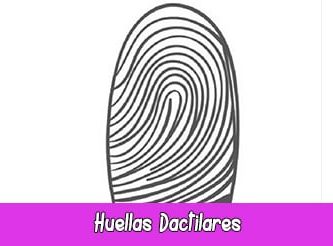 Huellas Dactilares | Quiromancia: Lectura de Manos