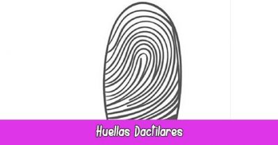 Huellas Dactilares | Quiromancia: Lectura de Manos