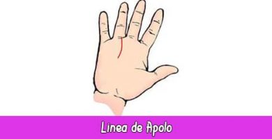 Línea del Sol o Línea de Apolo | Quiromancia: Lectura de Manos
