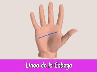 Línea de la Cabeza | Quiromancia: Lectura de Manos