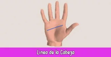 Línea de la Cabeza | Quiromancia: Lectura de Manos