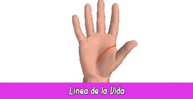 Línea de la Vida | Quiromancia Gratis: Lectura de Manos