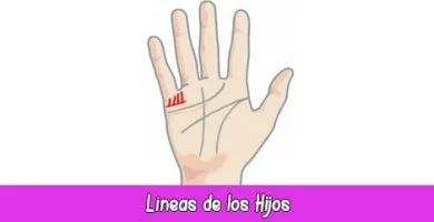 Línea de los Hijos | Quiromancia: Lectura de Manos