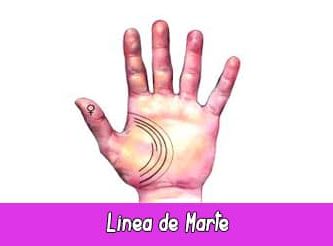 Línea de Marte | Quiromancia: Lectura de Manos Línea de Marte | Quiromancia: Lectura de Manos