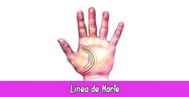 Línea de Marte | Quiromancia: Lectura de Manos