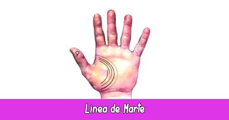 Línea de Marte | Quiromancia: Lectura de Manos