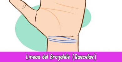 Rascetas o Líneas de Brazalete | Quiromancia: Lectura de Manos