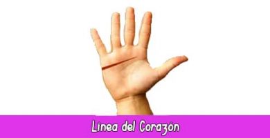 Línea del Corazón | Quiromancia Gratis: Lectura de Manos